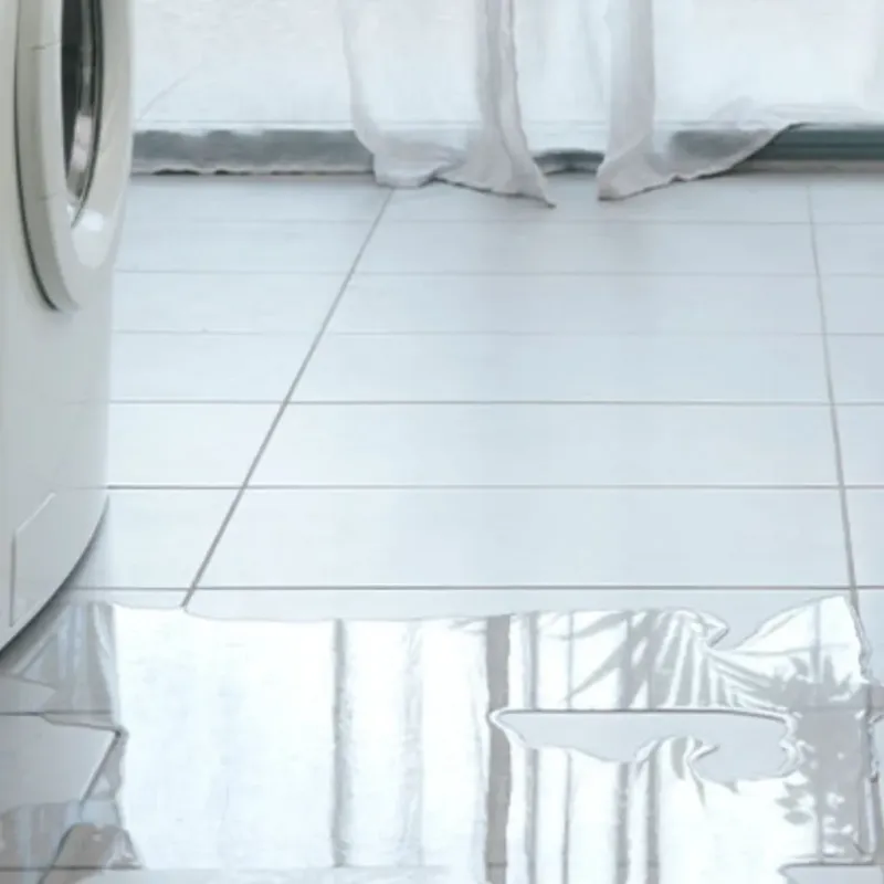 Appliance Leak Cleanup in Elim, PA