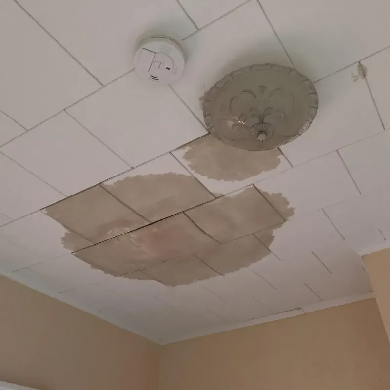 Ceiling Water Damage Repair in Elim, PA