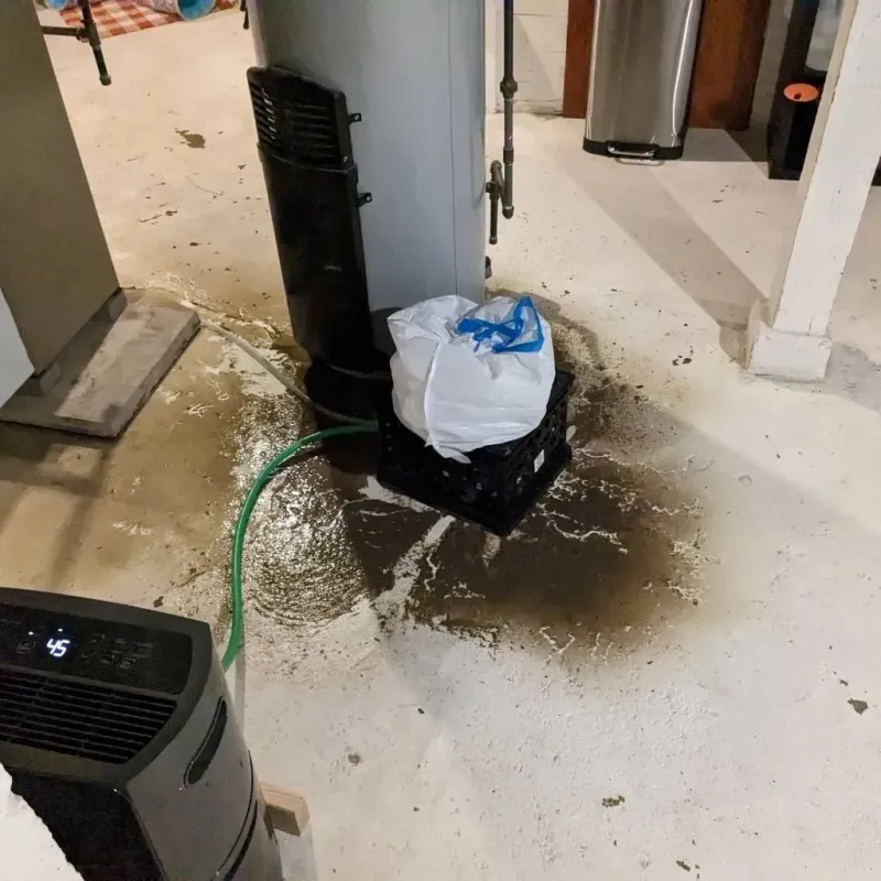 Sewage Backup Cleanup Service in Elim, PA